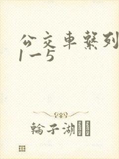 公交车系列合集1一5