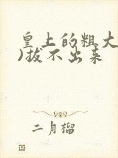 皇上的粗大(h)拔不出来