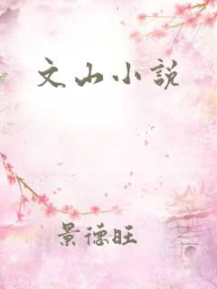 文山小说