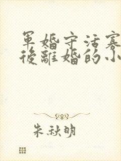 军婚守活寡重生后离婚的小说