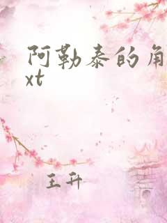 阿勒泰的角落txt