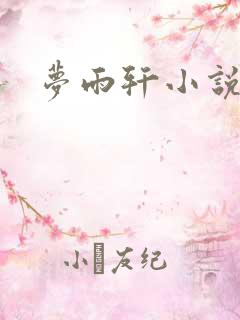 梦雨轩小说网