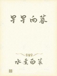 星星向蓉