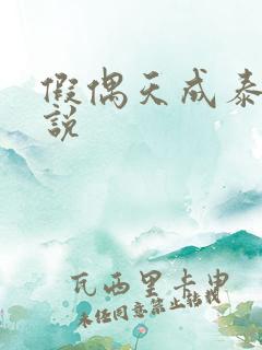 假偶天成泰国小说