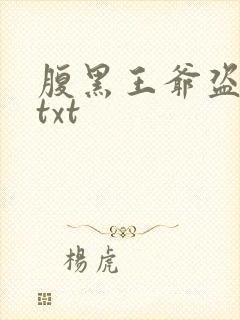 腹黑王爷盗墓妃txt