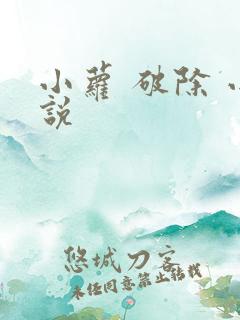 小萝 破除 小说