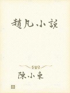 赵凡小说