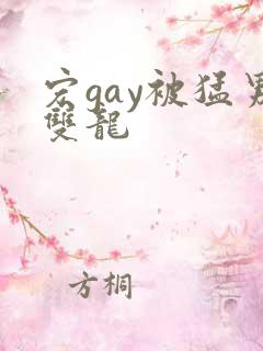 宏gay被猛男双龙
