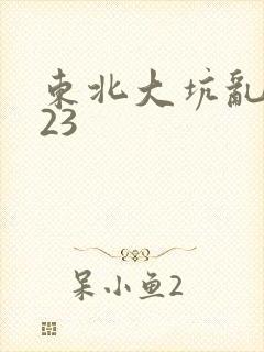 东北大坑乱1—23