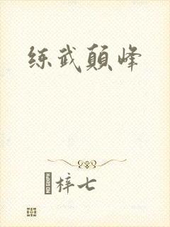 练武颠峰