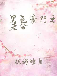 黑色豪门之王子老公