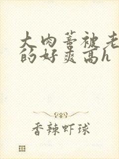 大肉蒂被老头嘬的好爽高h