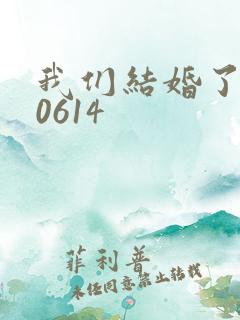 我们结婚了130614