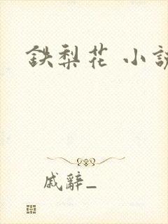 铁梨花 小说