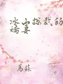 冰山总裁的掠爱娇妻