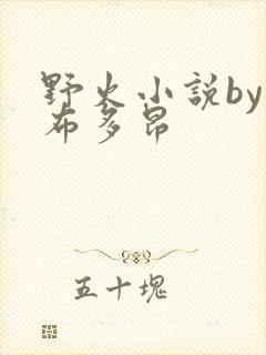 野火小说by夏布多昂