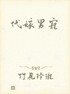 代嫁男宠