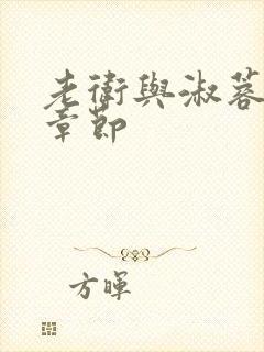 老卫与淑蓉全部章节