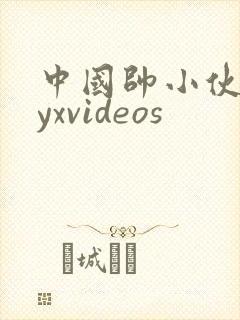 中国帅小伙gayxvideos