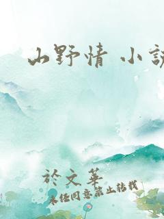山野情 小说