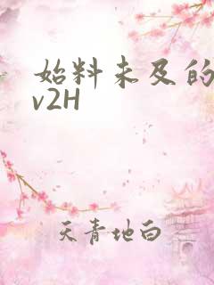 始料未及的软1v2H