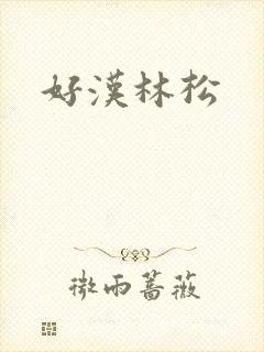 好汉林松