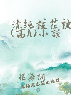 清纯校花被调教(高h)小说