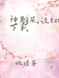 神雕风流txt下载