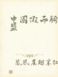 中国假面骑士联盟