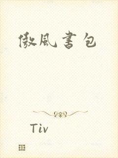 傲风书包