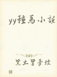 yy种马小说