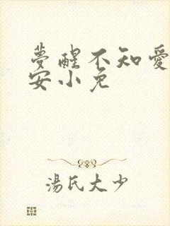 梦醒不知爱欢凉安小免