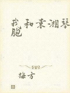 我和袁湘琴是双胞