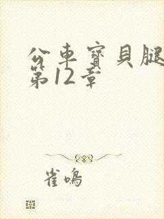 公车宝贝腿开点第12章