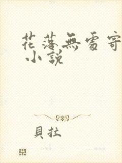 花落无处寄相思 小说