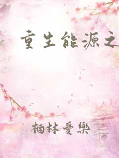 重生能源之王