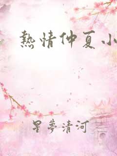 热情仲夏小说