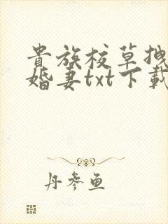 贵族校草拽拽未婚妻txt下载