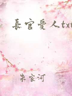 长官爱人txt