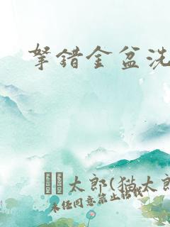 拿错金盆洗错手