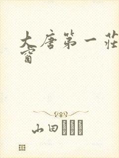 大唐第一庄无弹窗