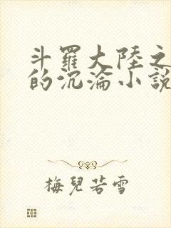 斗罗大陆之众女的沉沦小说