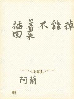 插着不能掉等我回来