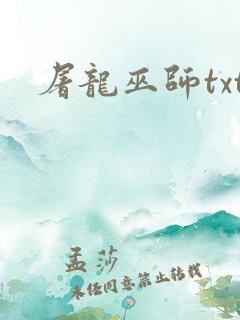 屠龙巫师txt
