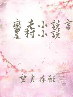恋老小说言情网农村小说