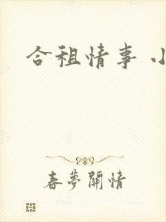 合租情事 小说
