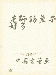 老师的兔子软水好多