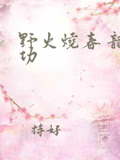 野火烧春 龙鸣功