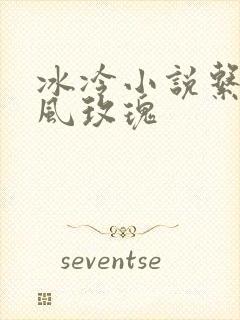 冰冷小说系列之风玫瑰