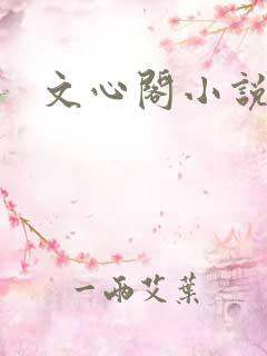 文心阁小说